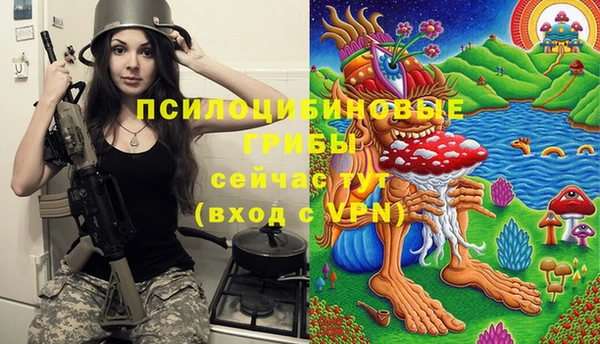 шишки Балахна