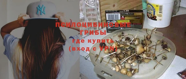 шишки Балахна